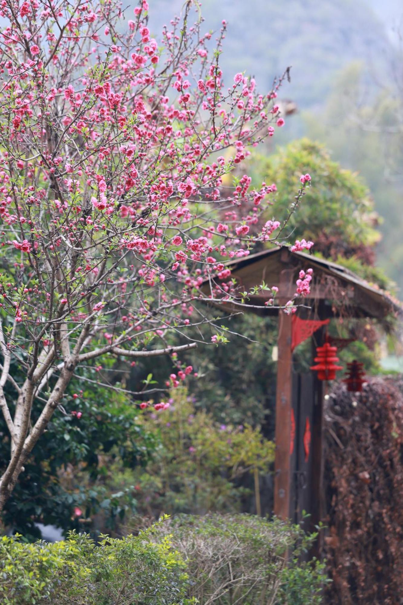 The Apsara Lodge Yangshuo Exterior photo