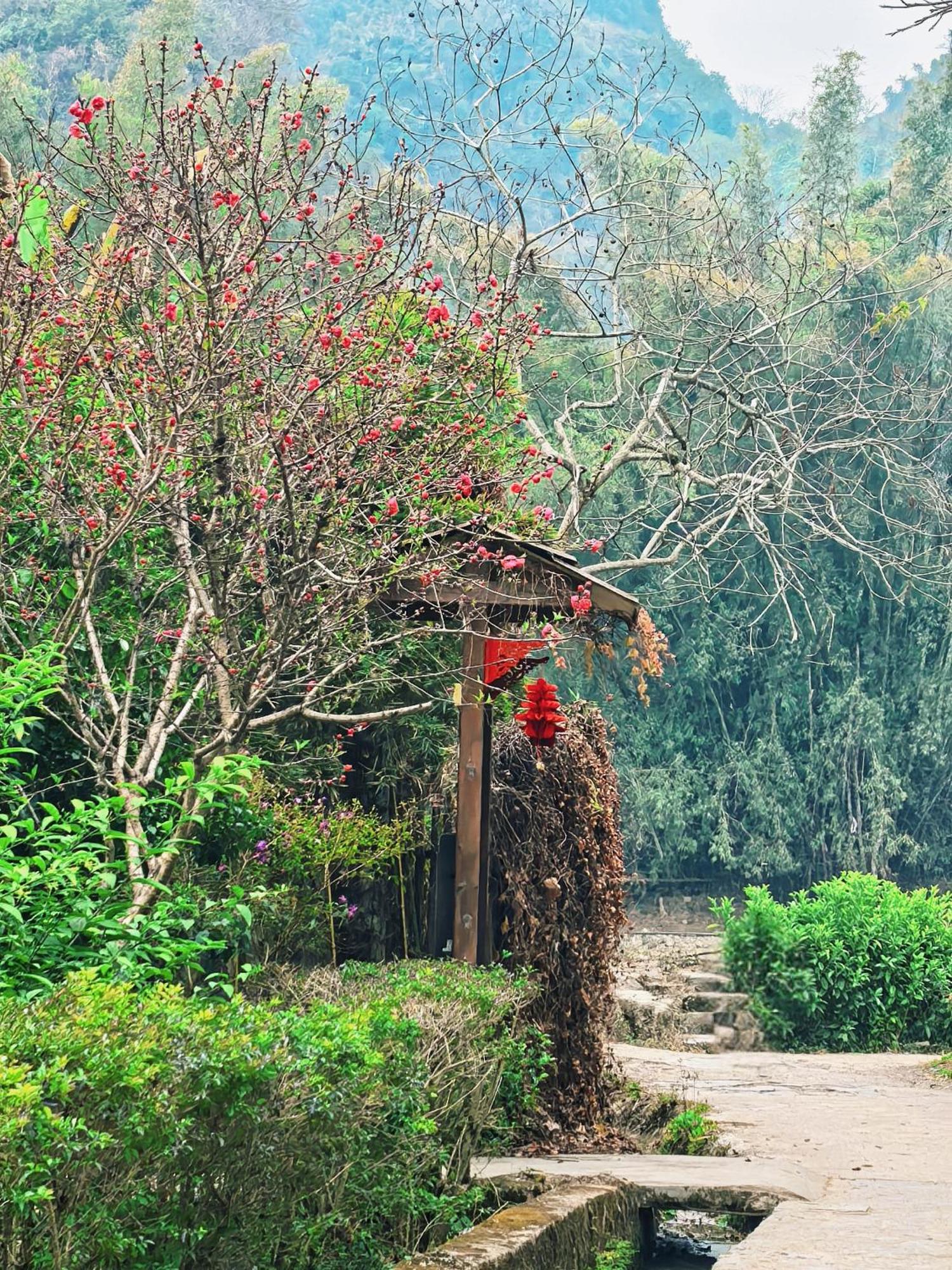 The Apsara Lodge Yangshuo Exterior photo